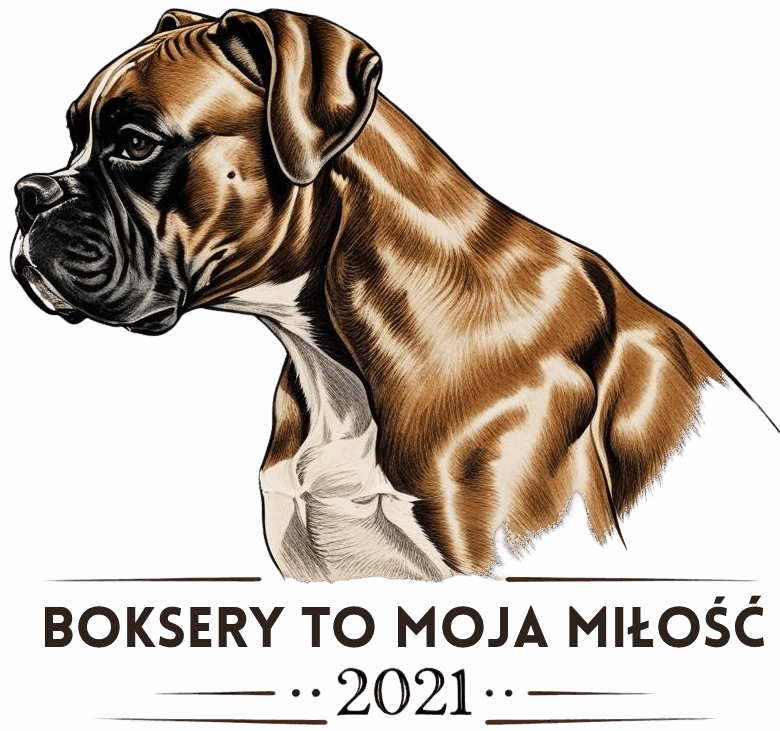 Logo Boksery Polska